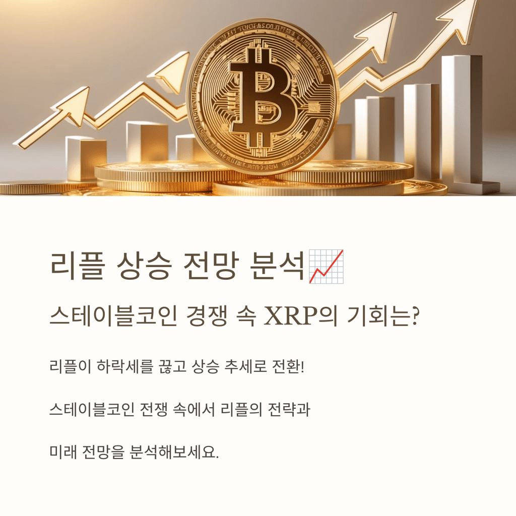 리플 상승 전망 - MoneyBlockSignal 리플 상승 전망
