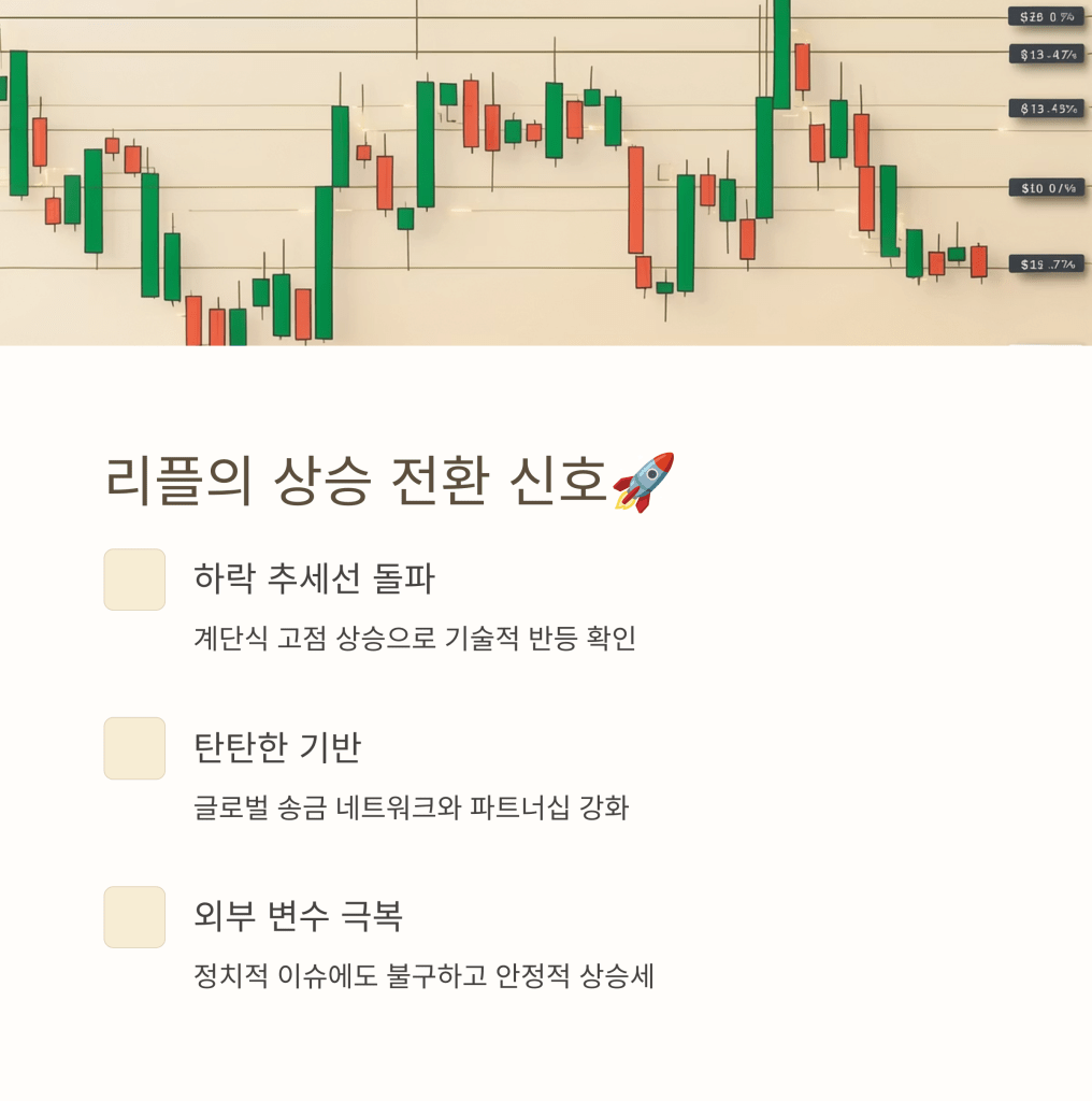 리플 상승 - MoneyBlockSignal 리플 상승