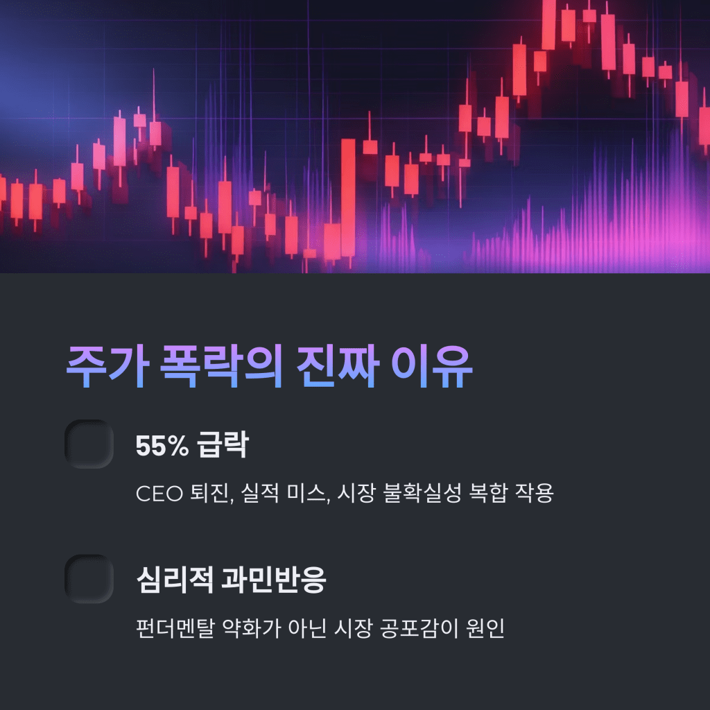 주가 폭락 원인 - MoneyBlockSignal 주가 폭락 원인