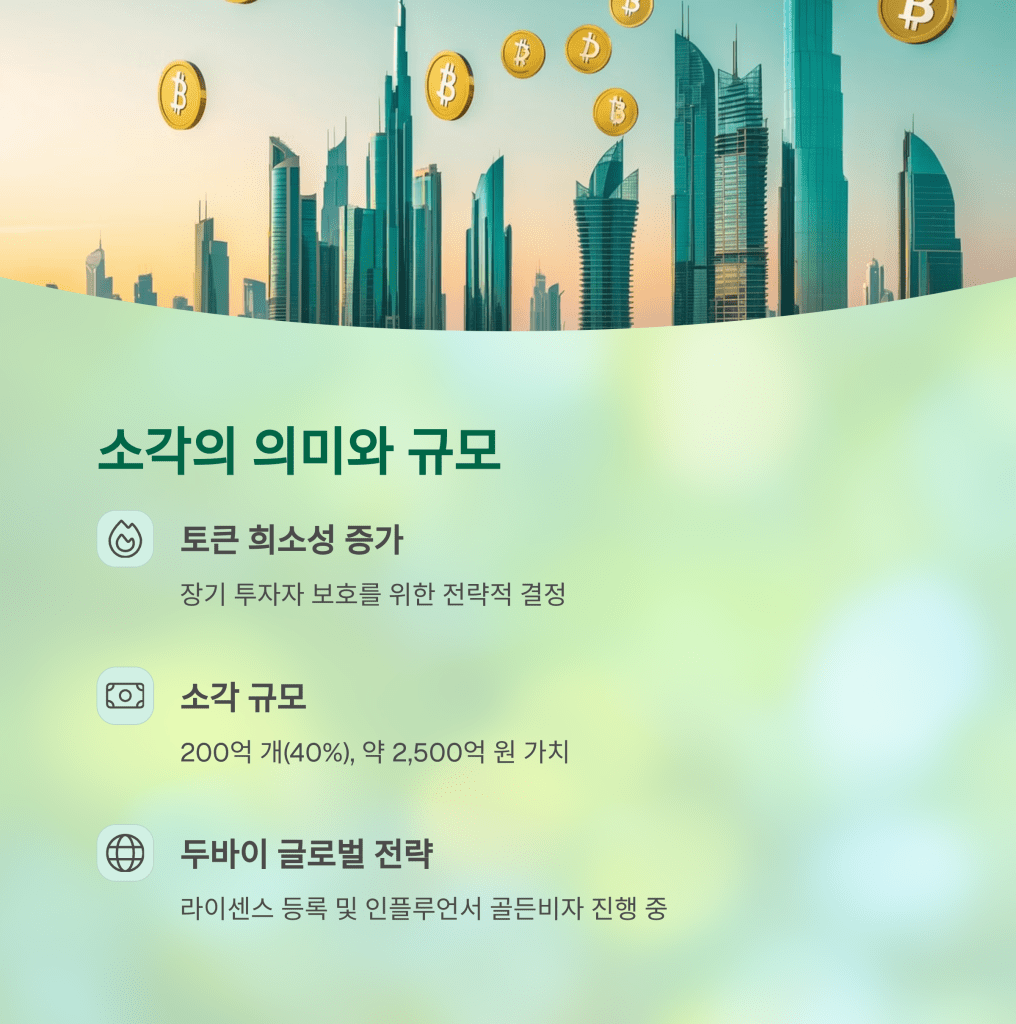 BGSC 소각의 의미 - MoneyBlockSignal BGSC 소각의 의미
