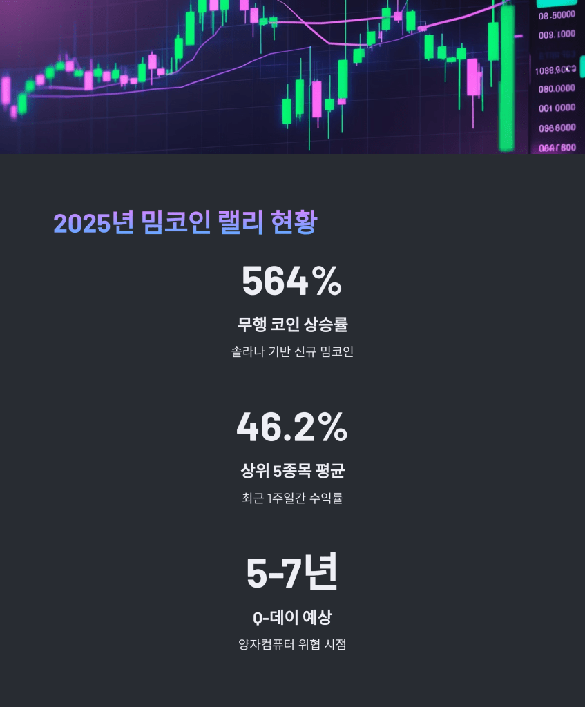 밈코인 현황 - MoneyBlockSignal 밈코인 현황