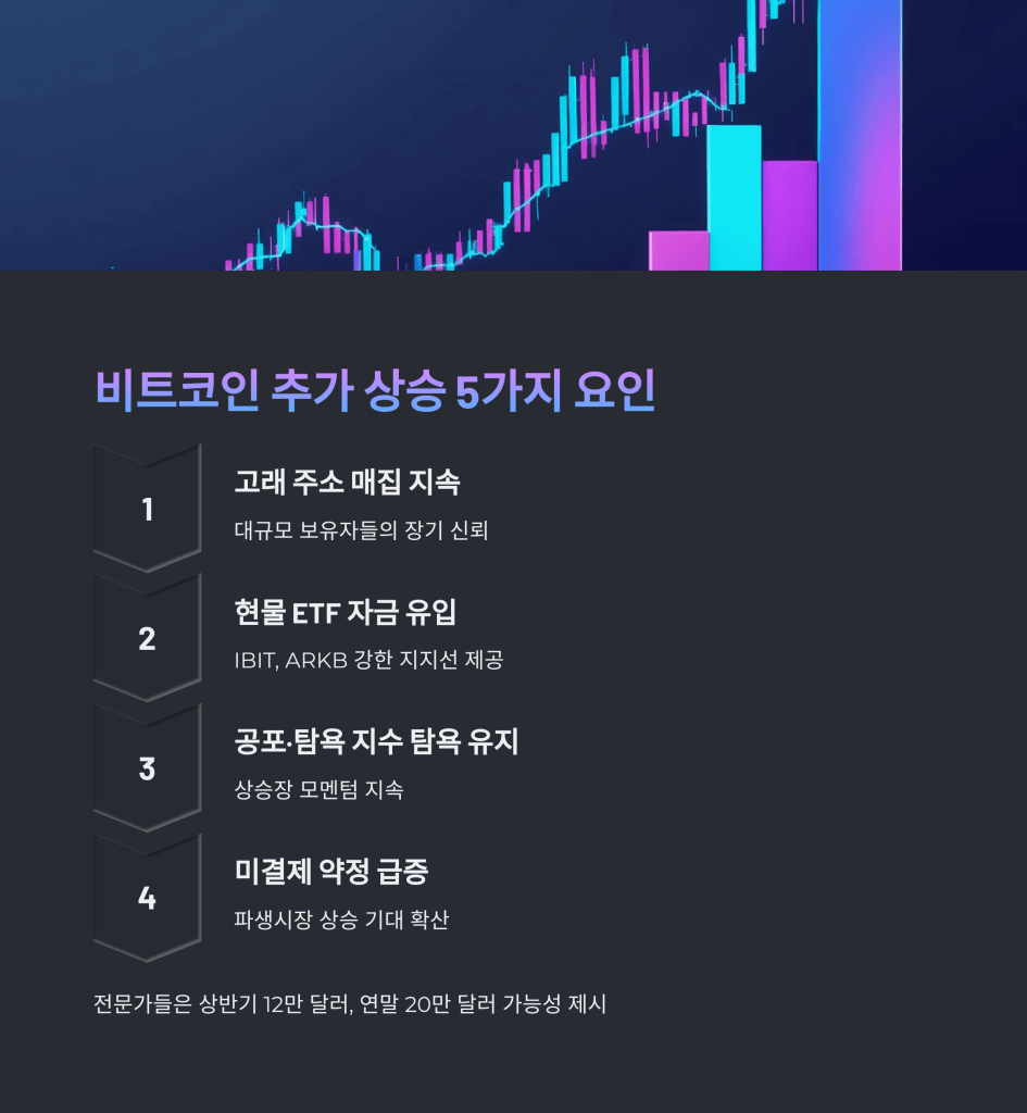 비트코인 상승 요인 - MoneyBlockSignal 비트코인 상승 요인