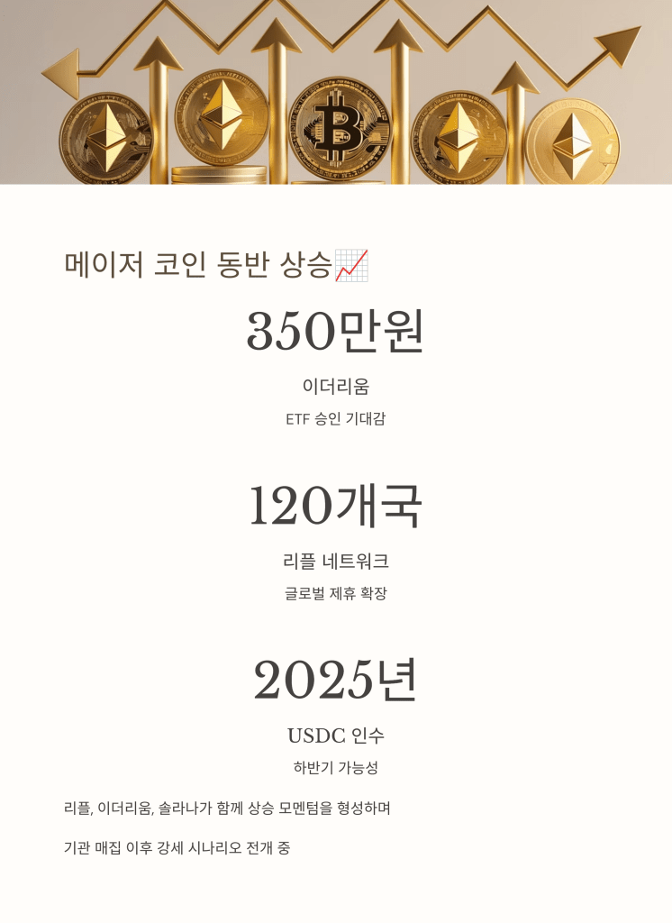 메이저 코인 - MoneyBlockSignal 메이저 코인