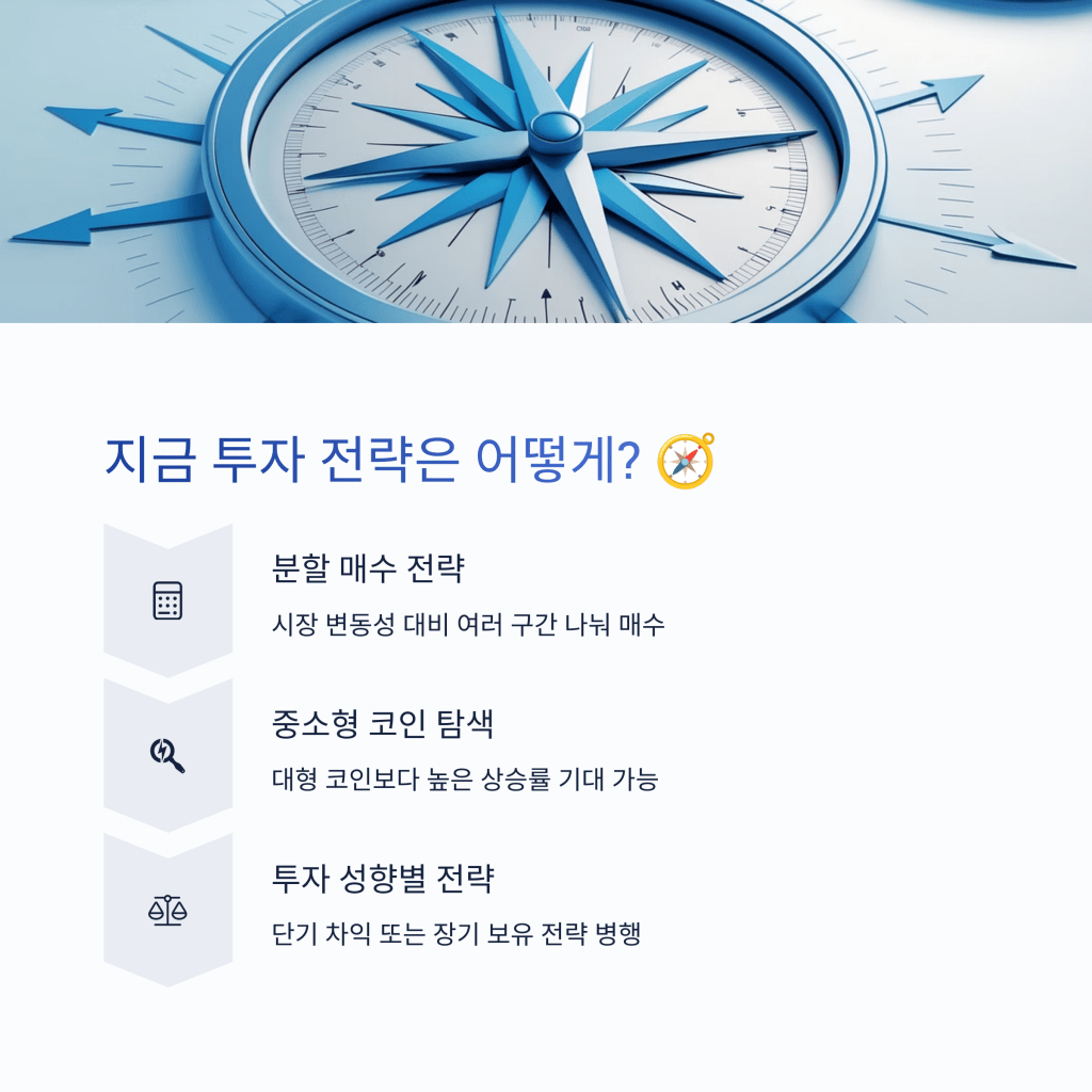 알트코인 투자전략 - MoneyBlockSignal 알트코인 투자전략